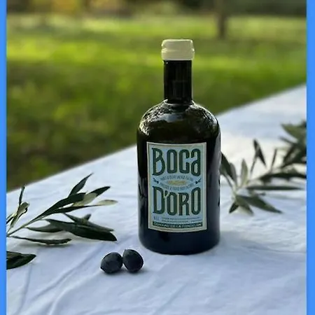 דירה Terrasse Avec Vue Domaine Viticole *