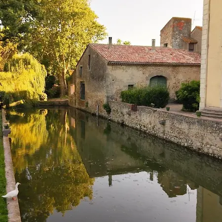 Terrasse Avec Vue Domaine Viticole